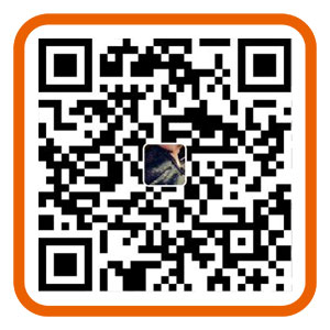 im钱包|imToken钱包|imToken钱包下载网址微信